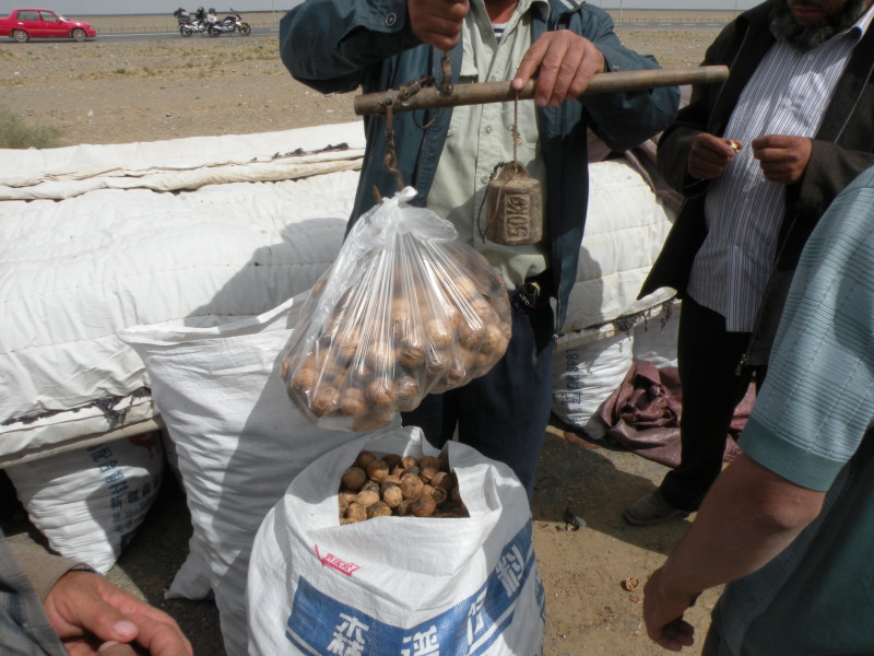 �Ҥ�iphone 1534.jpg