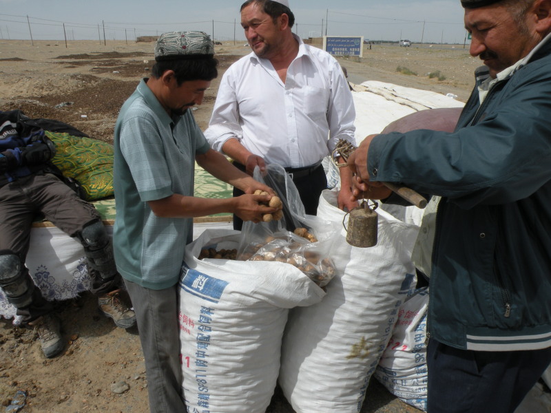 �Ҥ�iphone 1533.jpg