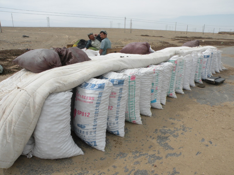 �Ҥ�iphone 1532.jpg