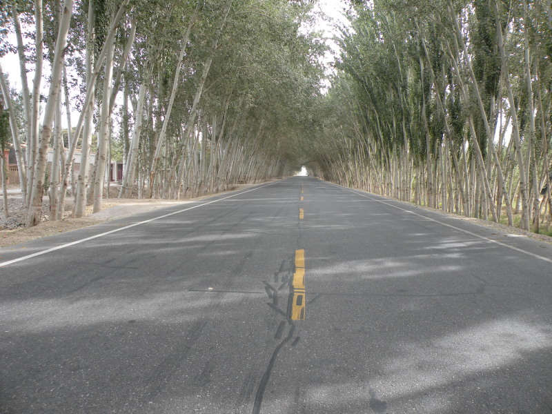 �Ҥ�iphone 1546.jpg