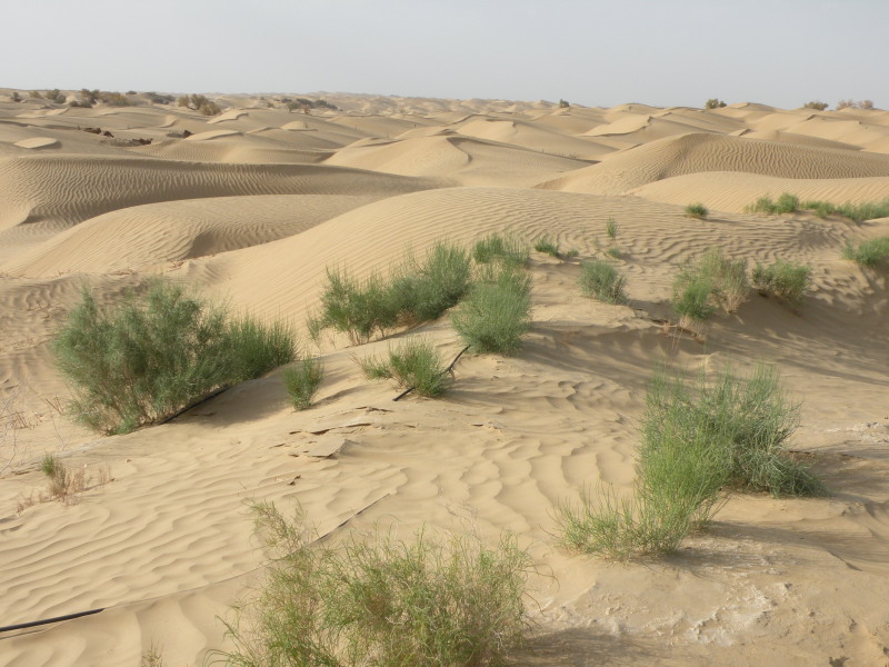 �Ҥ�iphone 1591.jpg