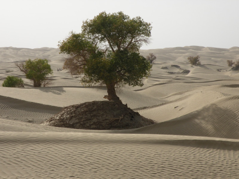 �Ҥ�iphone 1590.jpg