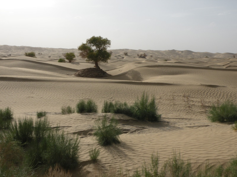 �Ҥ�iphone 1589.jpg