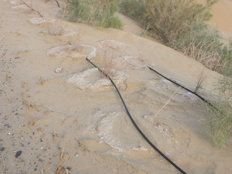 �Ҥ�iphone 1593.jpg