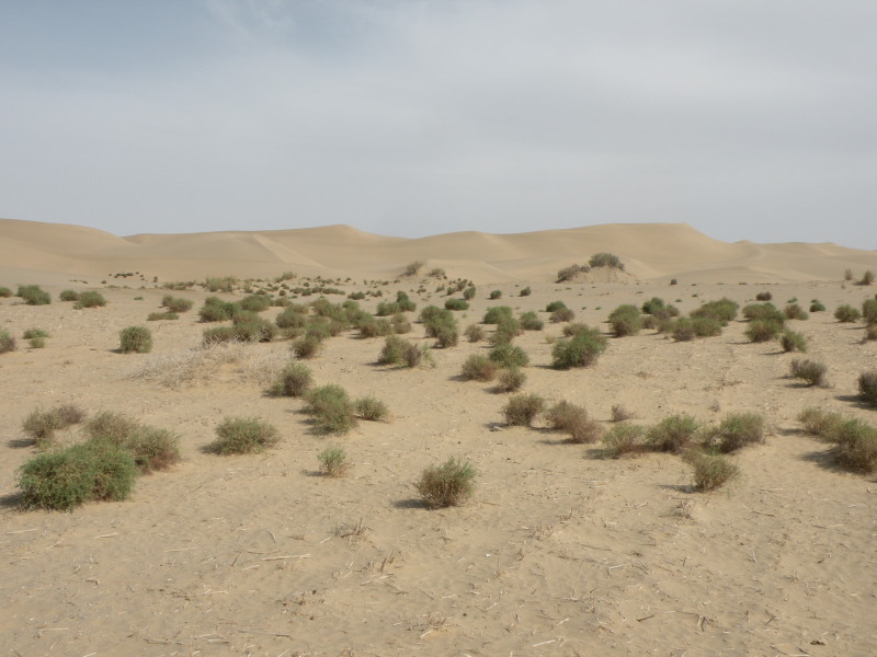 �Ҥ�iphone 1568.jpg