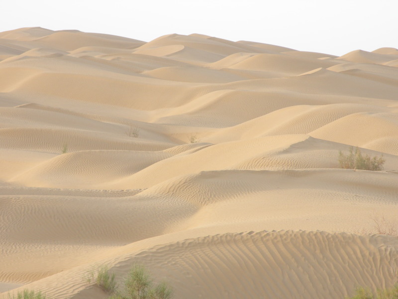 �Ҥ�iphone 1600.jpg