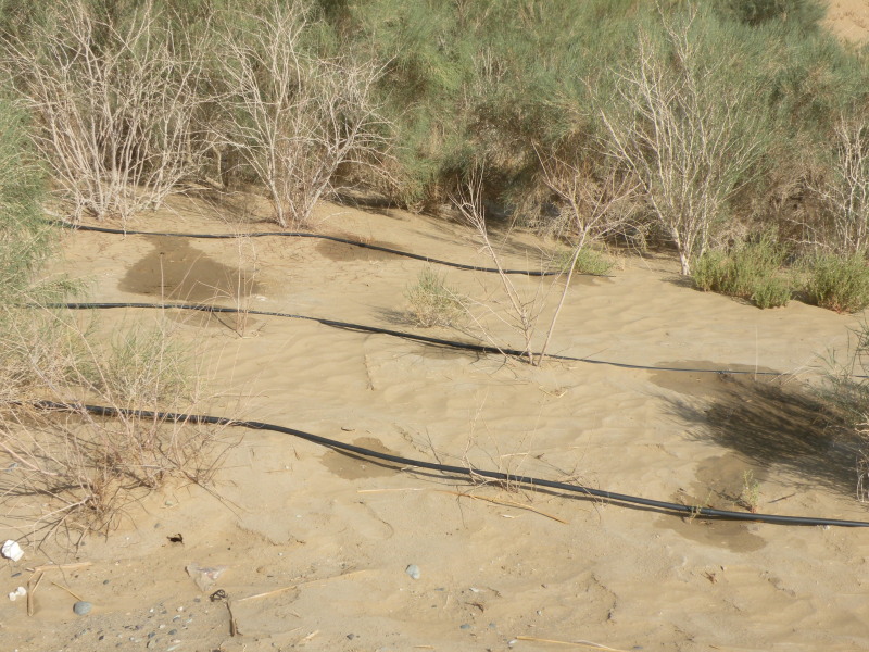 �Ҥ�iphone 1578.jpg