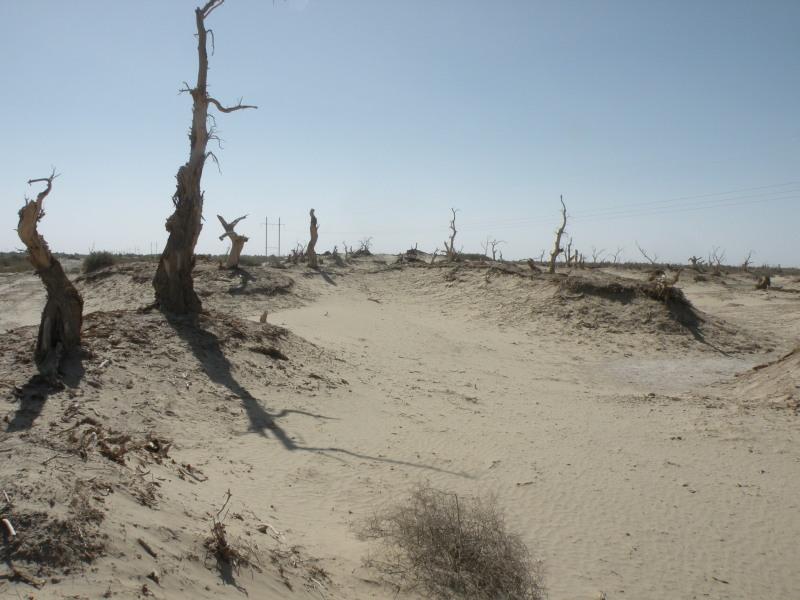 �Ҥ�iphone 1648.jpg