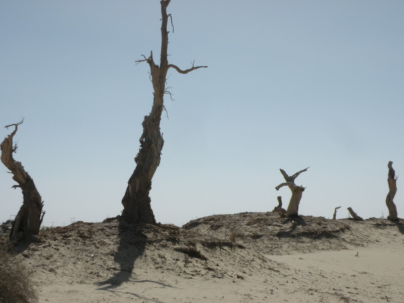 �Ҥ�iphone 1647.jpg