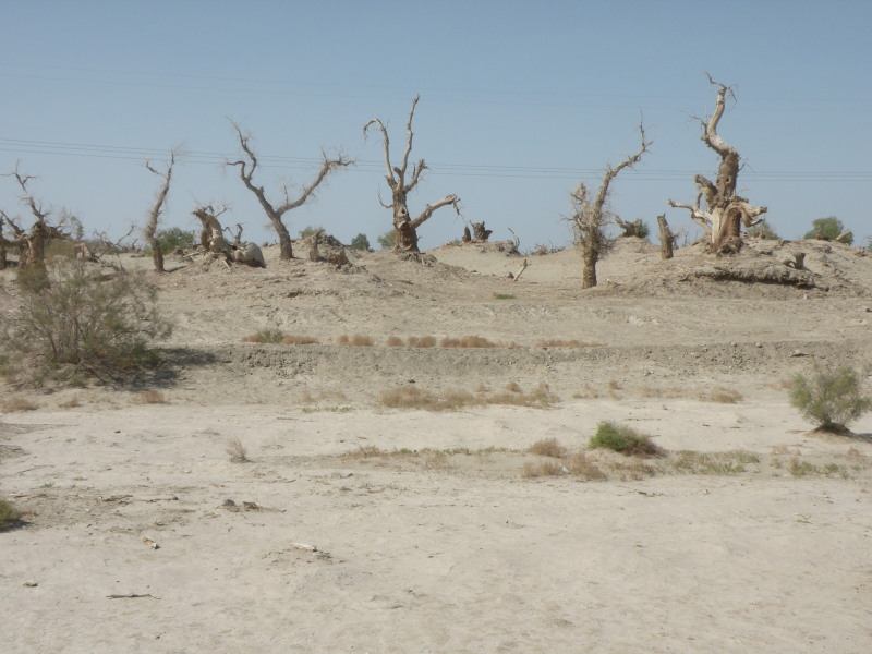 �Ҥ�iphone 1639.jpg