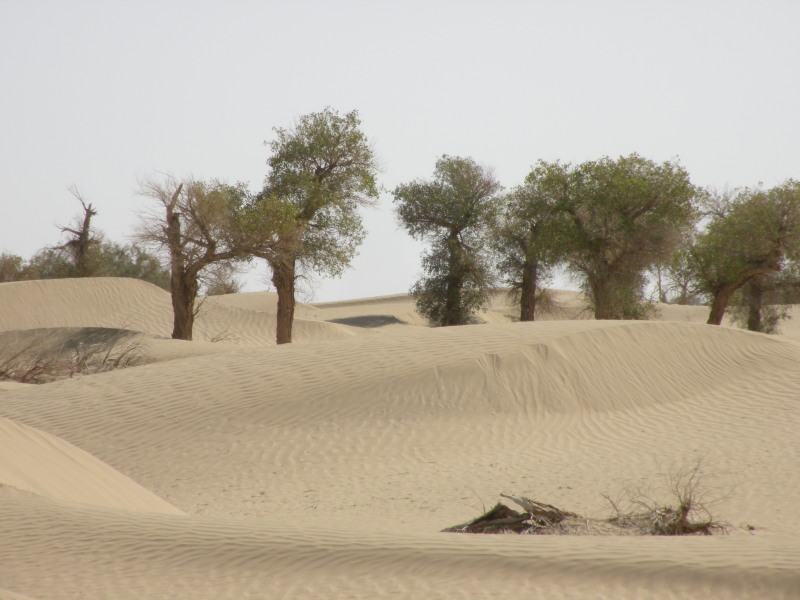 �Ҥ�iphone 1636.jpg