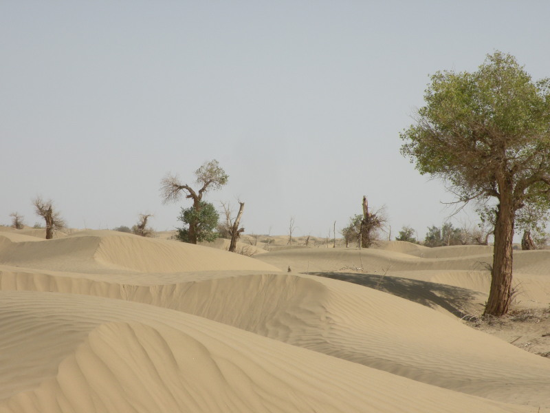 �Ҥ�iphone 1635.jpg