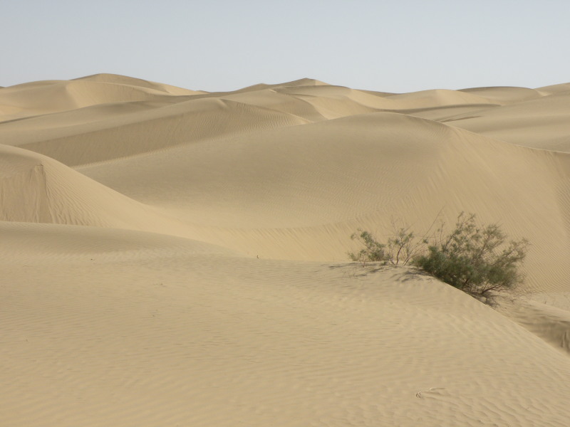 �Ҥ�iphone 1628.jpg