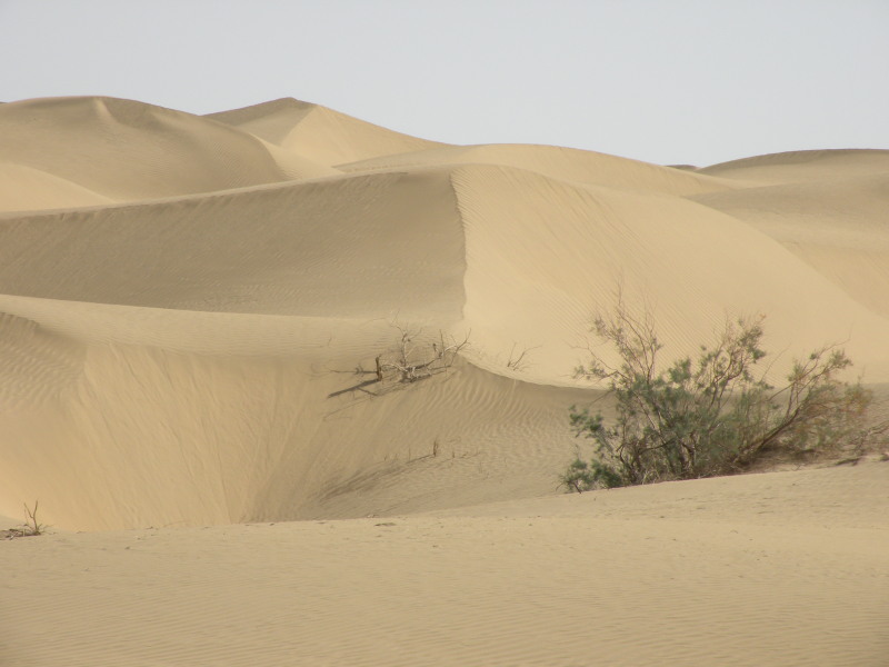 �Ҥ�iphone 1621.jpg