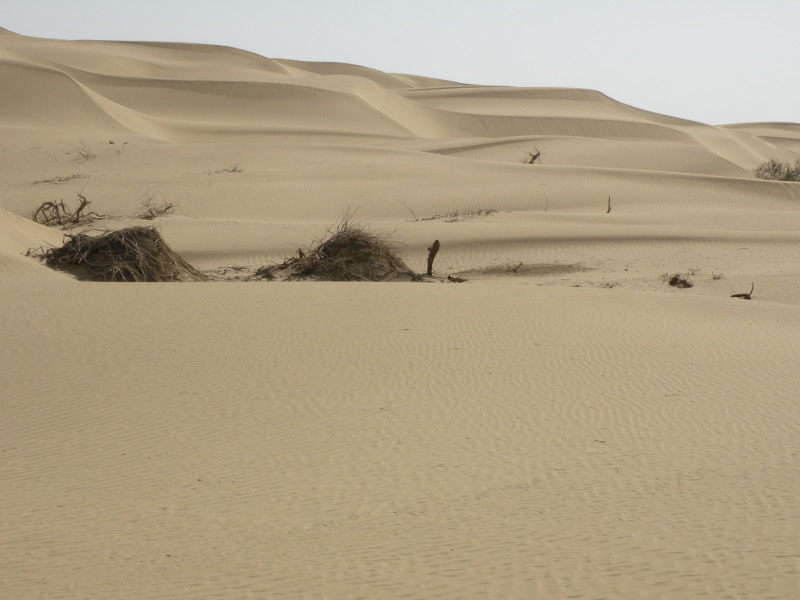 �Ҥ�iphone 1620.jpg