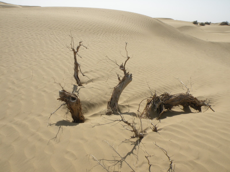 �Ҥ�iphone 1617.jpg