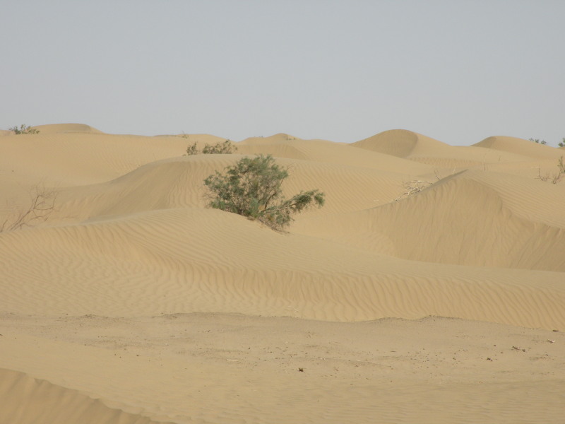 �Ҥ�iphone 1614.jpg