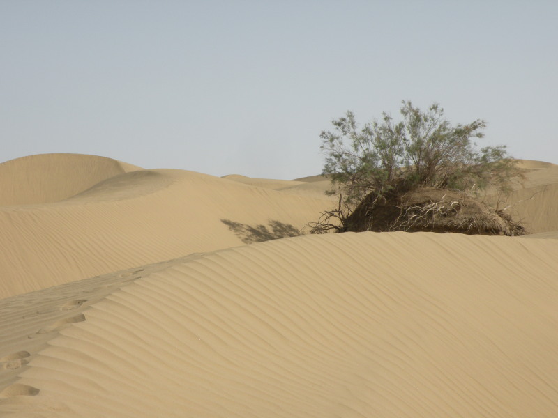 �Ҥ�iphone 1613.jpg