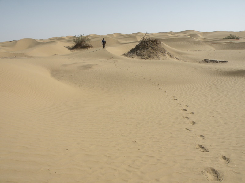 �Ҥ�iphone 1612.jpg