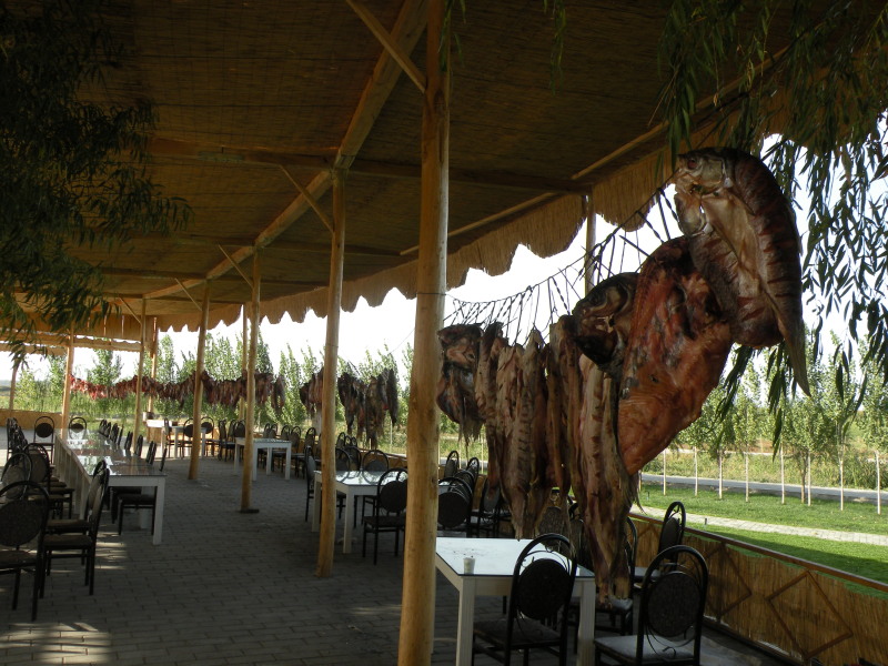 �Ҥ�iphone 1728.jpg