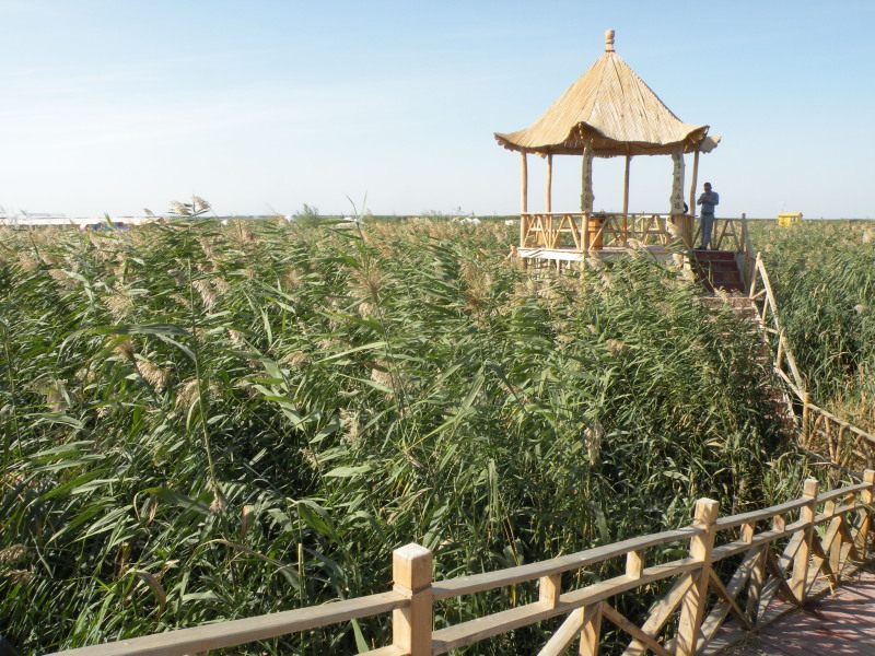 �Ҥ�iphone 1705.jpg