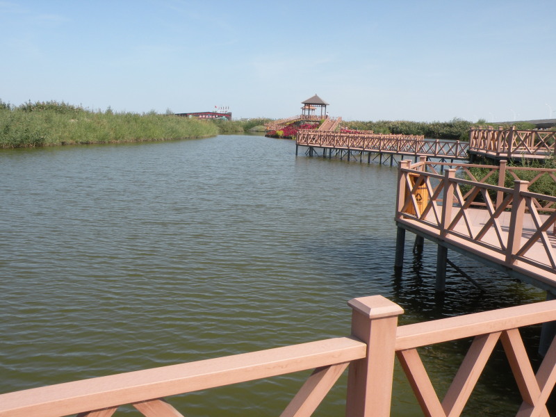 �Ҥ�iphone 1691.jpg