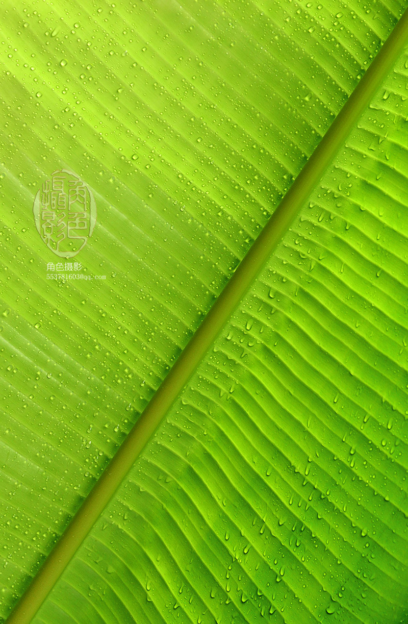 DSC_7108-1 ����.jpg