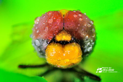 90΢��Ƭ (1).jpg