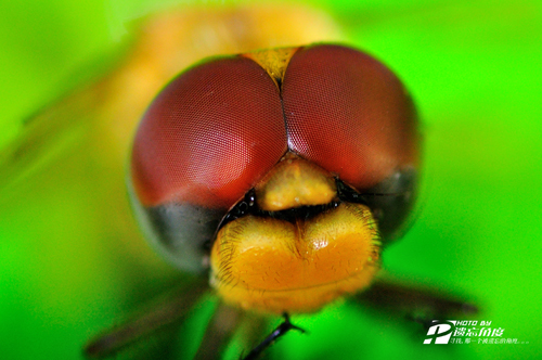 90΢��Ƭ (2).jpg