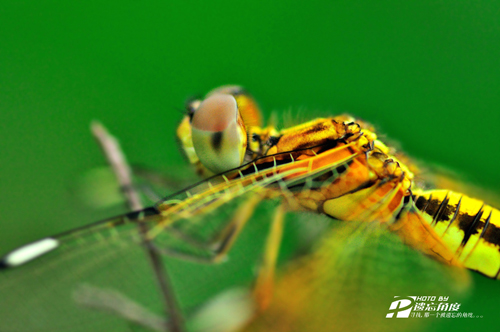 90΢��Ƭ (3).jpg