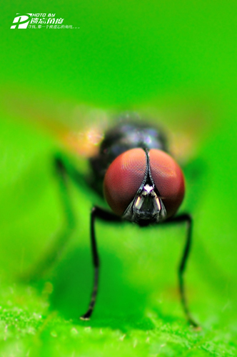 90΢��Ƭ (4).jpg