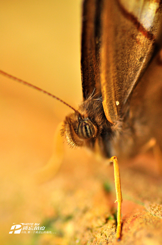 90΢��Ƭ (5).jpg