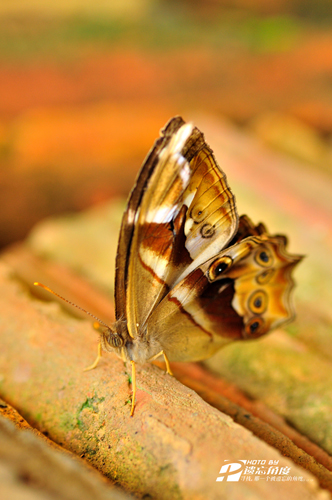 90΢��Ƭ (6).jpg