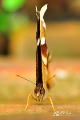 90΢��Ƭ (7).jpg