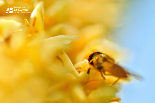 90΢��Ƭ (8).jpg