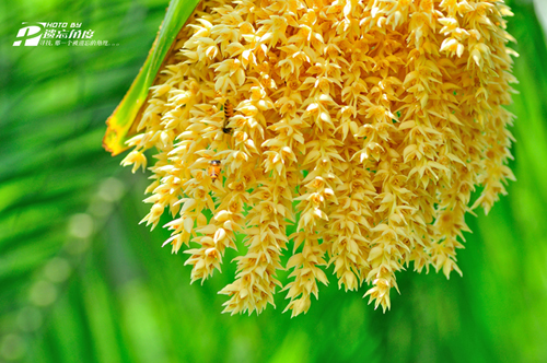 90΢��Ƭ (9).jpg