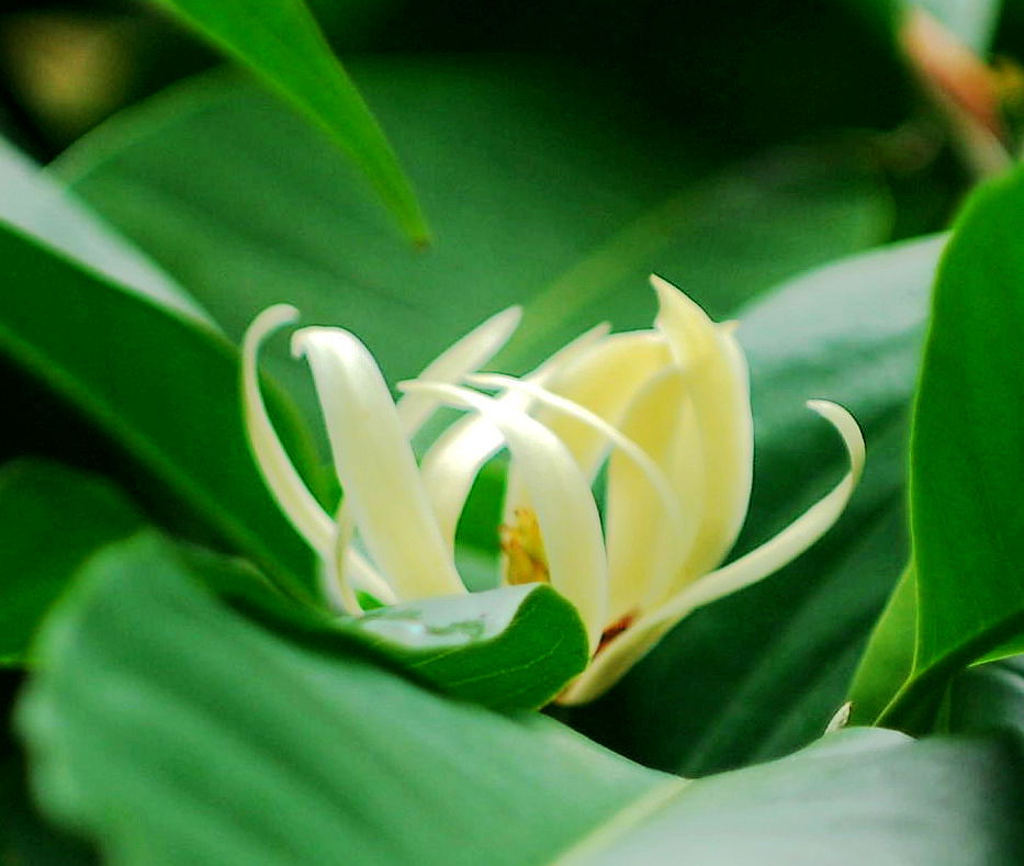 ���� DSC_3570_����.jpg