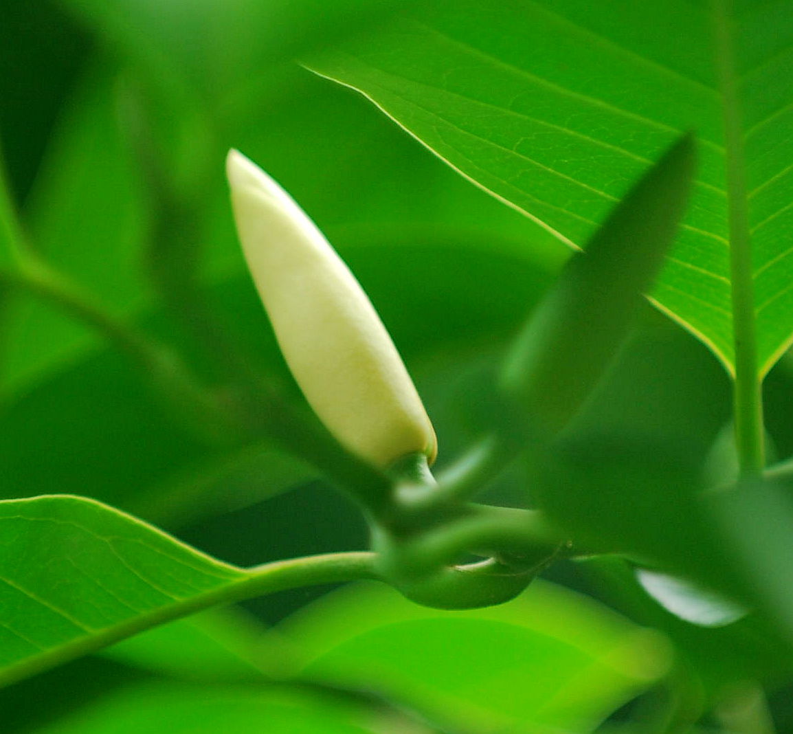 ���� DSC_3573_����.jpg