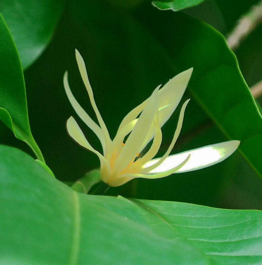 ���� DSC_3501_����.jpg