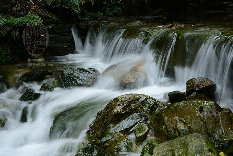 DSC_5752 ����.jpg