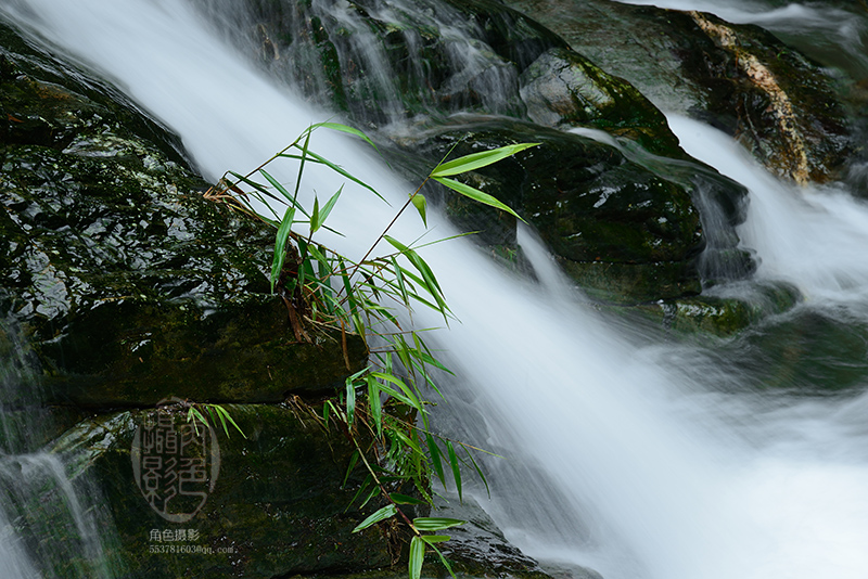 DSC_5765 ����.jpg