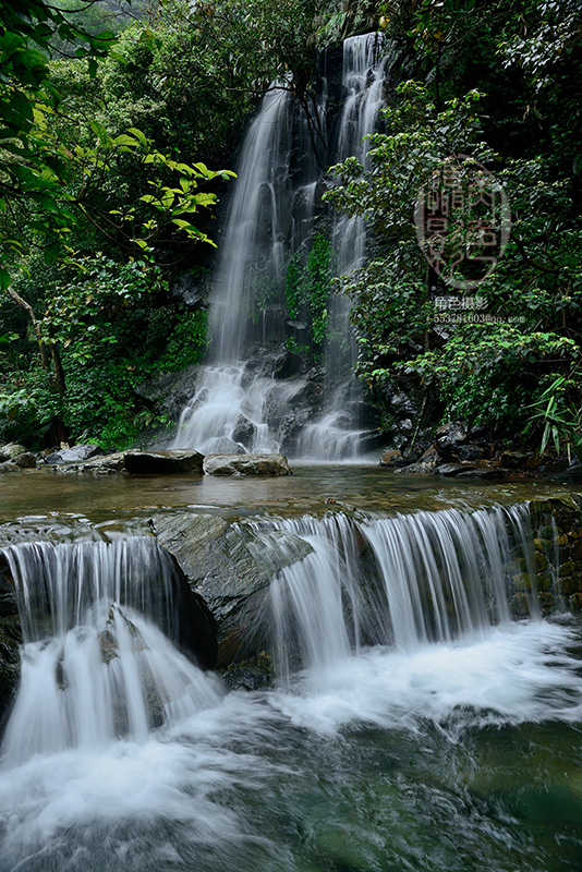 DSC_5771 ����.jpg