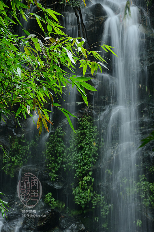 DSC_7194 ����.jpg