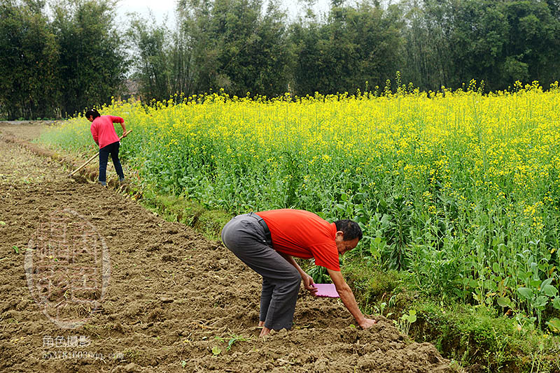 DSC_5141 ����.jpg