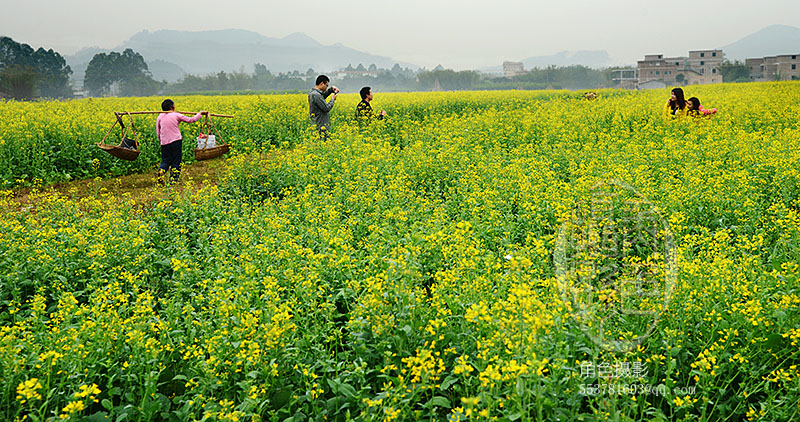 DSC_5152 ����.jpg