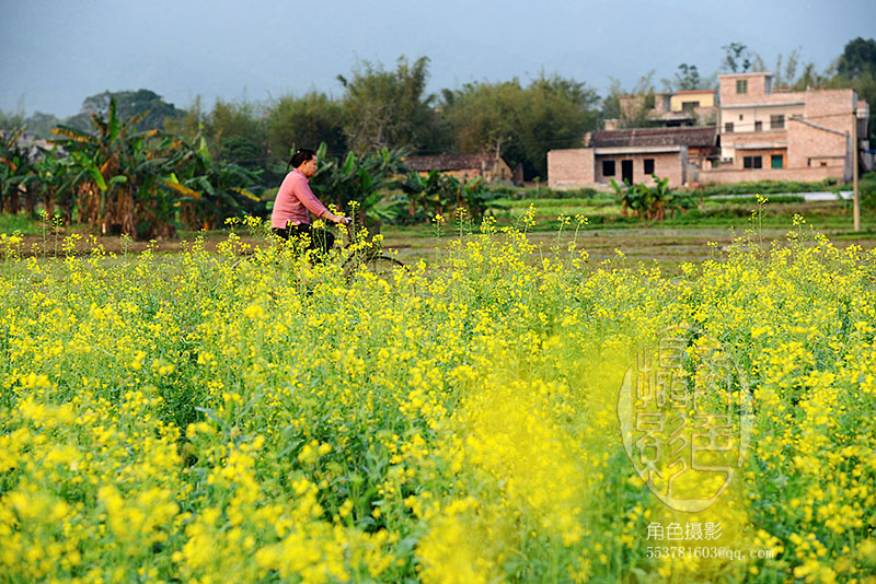 DSC_5179 ����.jpg