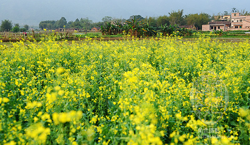 DSC_5182 ����.jpg