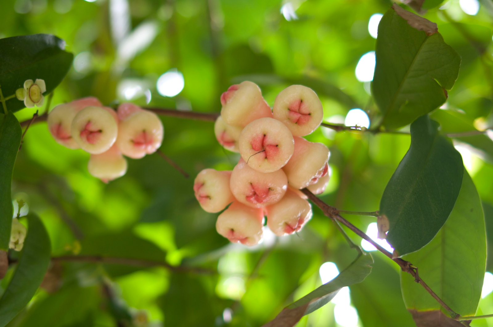 IMGP9276 - ����.jpg