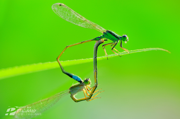 С���� (3).jpg