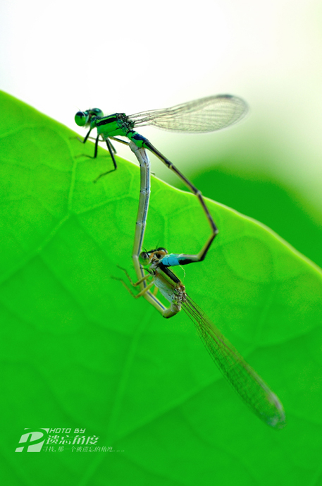 С���� (4).jpg